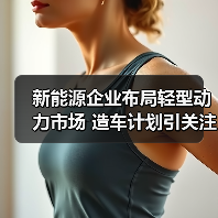 新能源企业布局轻型动力市场 造车计划引关注(图4) 新能源企业布局轻型动力市场 造车计划引关注(图4)