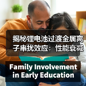 揭秘锂电池过渡金属离子串扰效应:性能衰减的关键机制(图2) 揭秘锂电池过渡金属离子串扰效应:性能衰减的关键机制(图2)