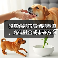隆基绿能布局储能赛道,光储融合成未来方向?(图4) 隆基绿能布局储能赛道,光储融合成未来方向?(图4)