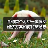 全球首个海空一体低空经济方案如何打破场景壁垒?(图2) 全球首个海空一体低空经济方案如何打破场景壁垒?(图2)