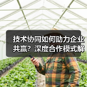 技术协同如何助力企业共赢?深度合作模式解析(图1) 技术协同如何助力企业共赢?深度合作模式解析(图1)